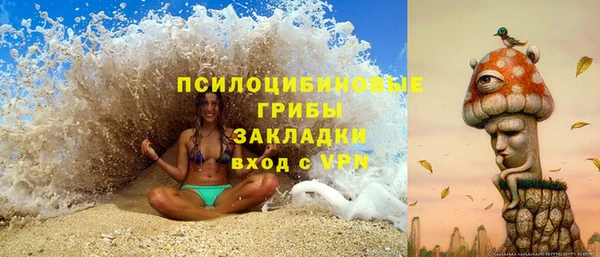бошки Санкт-Петербург