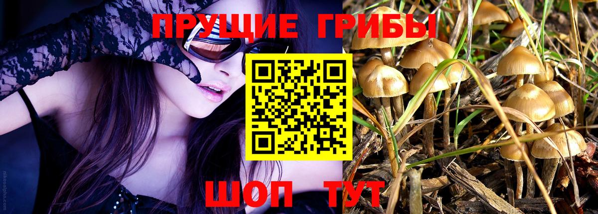 Галлюциногенные грибы Psilocybine cubensis  Вход с VPN  Воткинск  Псилоцибиновые грибы Magic Shrooms 